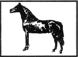Morgan Ring Homepage